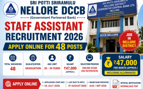 Nellore DCCB Staff Assistant Recruitment 2026: Apply Online for 48 Posts | Salary ₹47,000