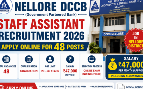 Nellore DCCB Staff Assistant Recruitment 2026: Apply Online for 48 Posts | Salary ₹47,000