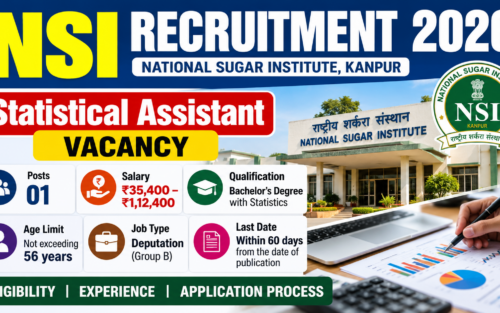 NSI Recruitment 2026 Statistical Assistant Vacancy